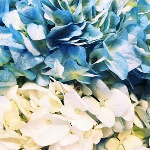 Meet your Posher, Nickole